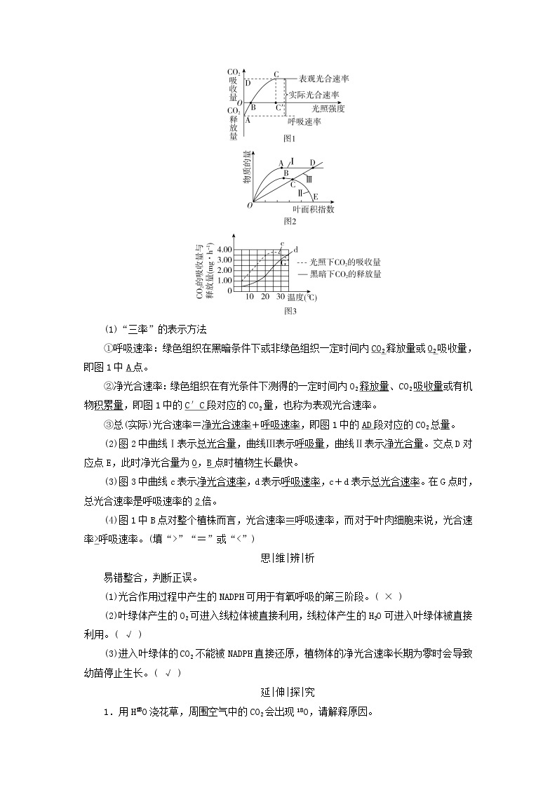 2025版高考生物一轮总复习教案必修1第三单元细胞的能量供应和利用第四讲影响光合作用的环境因素及其应用考点三光合作用与细胞呼吸的关系02