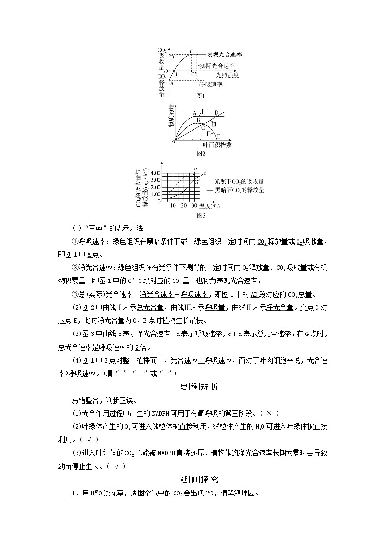 2025版高考生物一轮总复习教案必修1第三单元细胞的能量供应和利用第四讲影响光合作用的环境因素及其应用考点三光合作用与细胞呼吸的关系第2页
