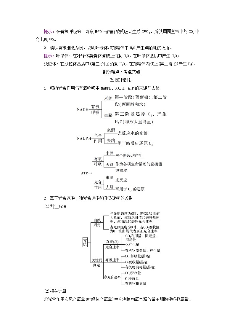 2025版高考生物一轮总复习教案必修1第三单元细胞的能量供应和利用第四讲影响光合作用的环境因素及其应用考点三光合作用与细胞呼吸的关系第3页