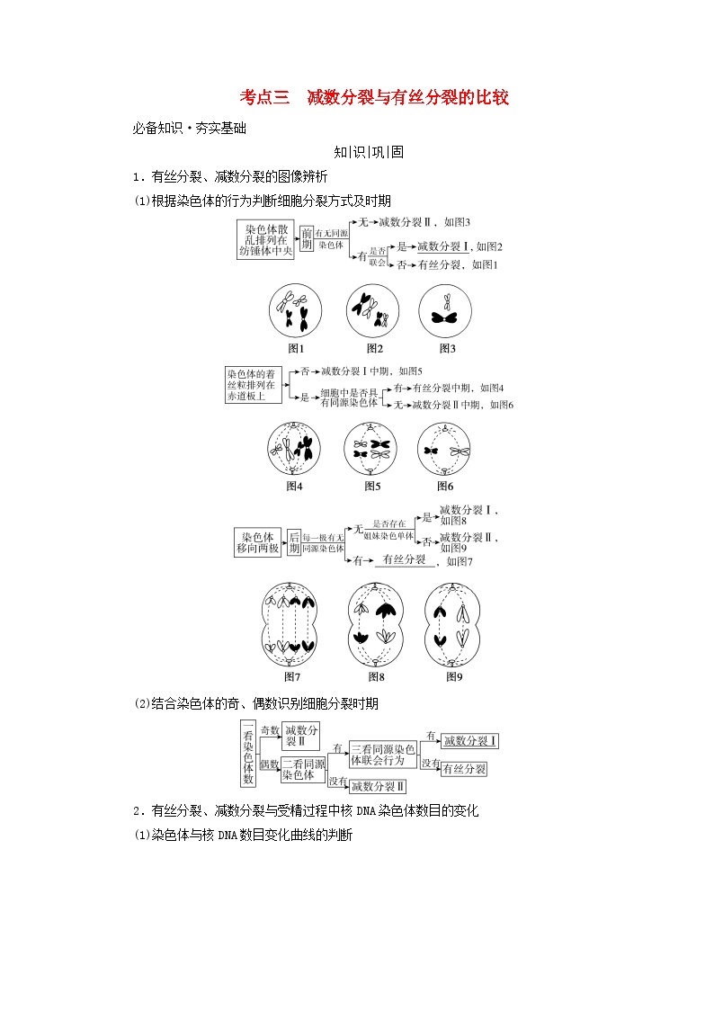 2025版高考生物一轮总复习教案必修1第四单元细胞的生命历程第二讲细胞的减数分裂和受精作用考点三减数分裂与有丝分裂的比较