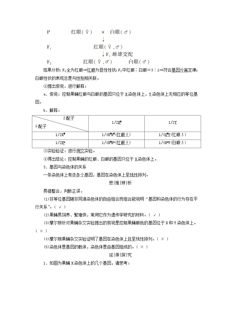 2025版高考生物一轮总复习教案必修2第五单元孟德尔定律和伴性遗传第三讲伴性遗传考点一基因在染色体上的假说与证据02