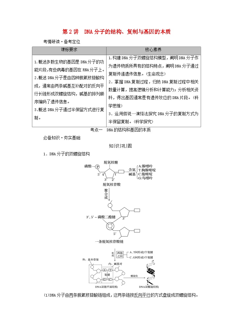 2025版高考生物一轮总复习教案必修2第六单元遗传的分子基础第二讲DNA分子的结构复制与基因的本质考点一DNA的结构和基因的本质