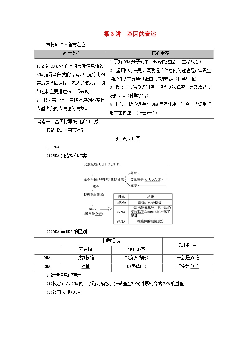 2025版高考生物一轮总复习教案必修2第六单元遗传的分子基础第三讲基因的表达考点一基因指导蛋白质的合成