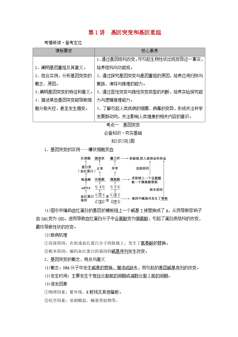 2025版高考生物一轮总复习教案必修2第七单元生物的变异育种与进化第一讲基因突变和基因重组考点一基因突变