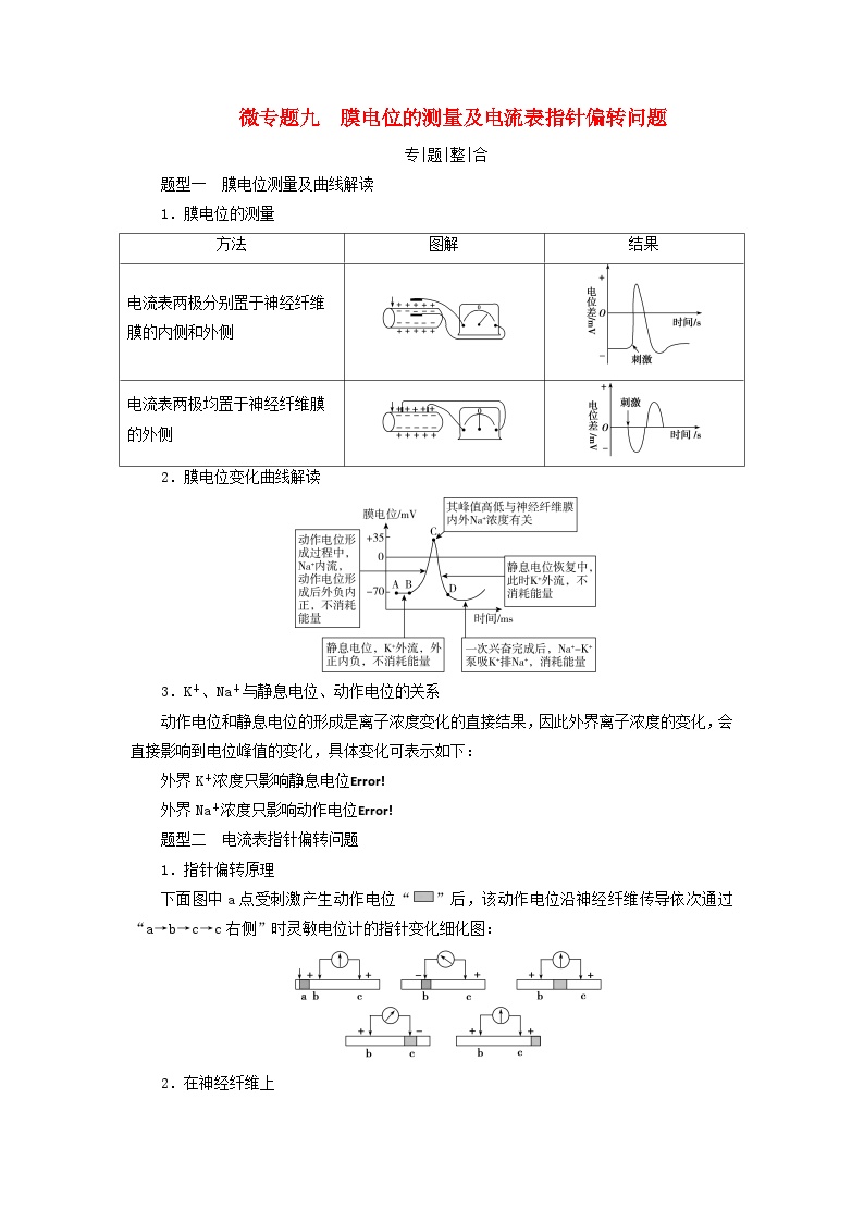 2025版高考生物一轮总复习教案选择性必修1微专题9膜电位的测量及电流表指针偏转问题