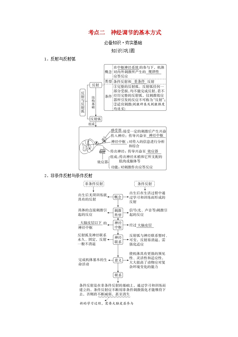 2025版高考生物一轮总复习教案选择性必修1第八单元稳态与调节第二讲神经调节的结构基础和基本方式考点二神经调节的基本方式