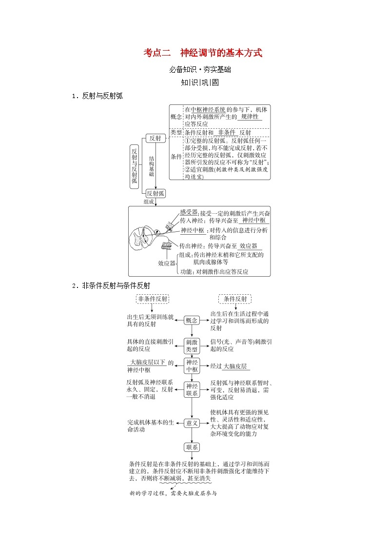 2025版高考生物一轮总复习教案选择性必修1第八单元稳态与调节第二讲神经调节的结构基础和基本方式考点二神经调节的基本方式01