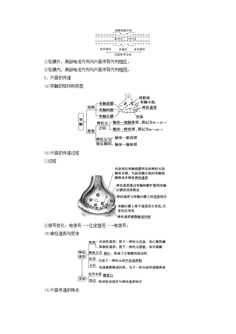 2025版高考生物一轮总复习教案选择性必修1第八单元稳态与调节第三讲神经冲动的产生和传导神经系统的分级调节及人脑的高级功能考点一神经冲动的产生和传导02