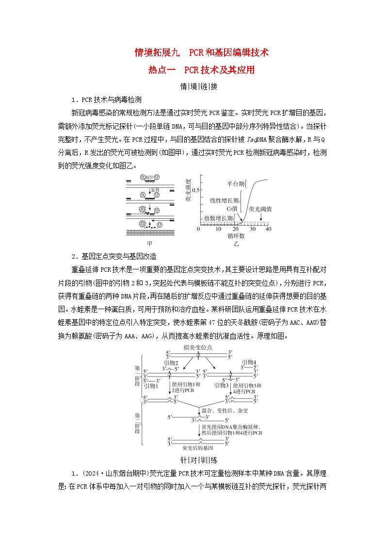 2025版高考生物一轮总复习教案选择性必修3情境拓展9PCR和基因编辑技术热点一PCR技术及其应用