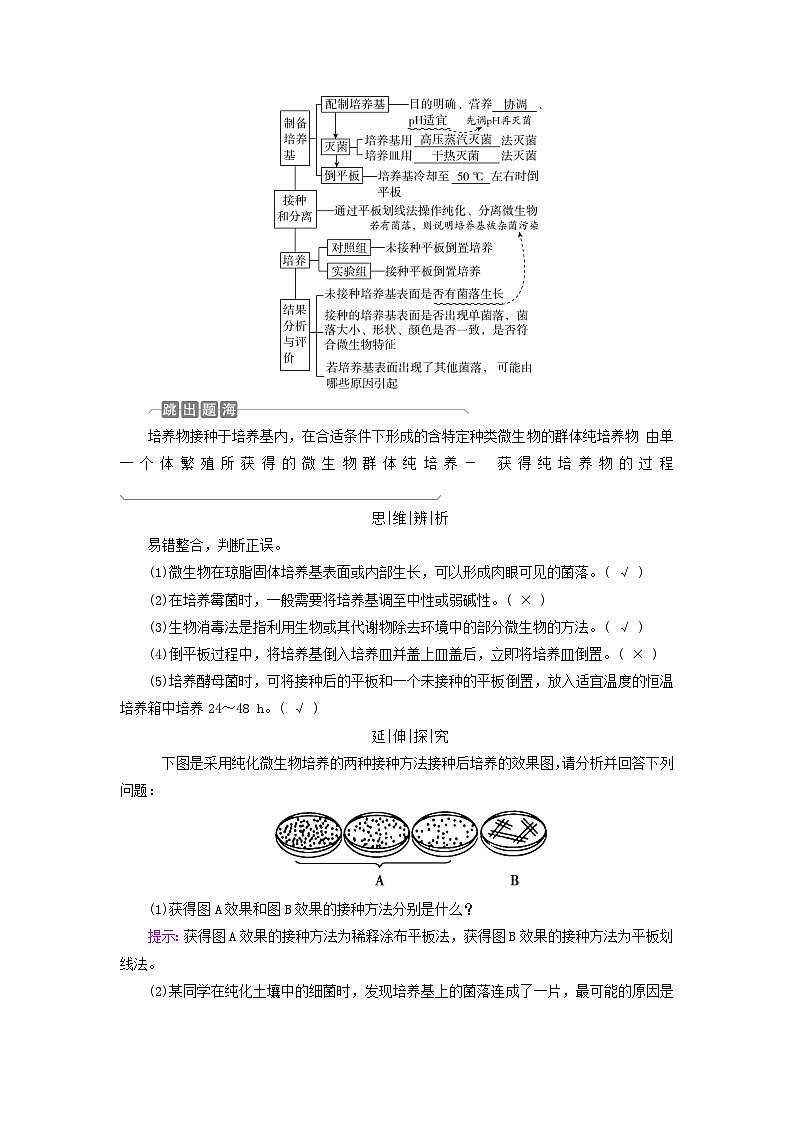 2025版高考生物一轮总复习教案选择性必修3第十单元生物技术与工程第二讲微生物的培养技术及应用考点一微生物的培养技术及应用第3页