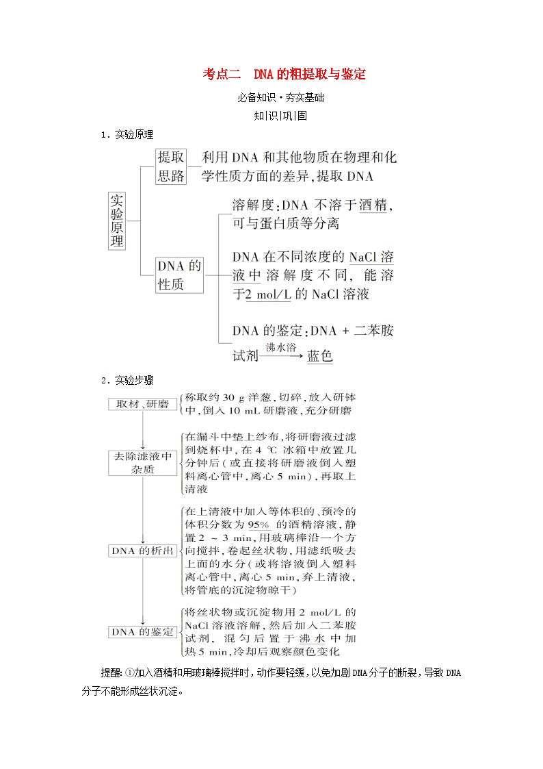 2025版高考生物一轮总复习教案选择性必修3第十单元生物技术与工程第六讲基因工程的基本工具考点二DNA的粗提取与鉴定