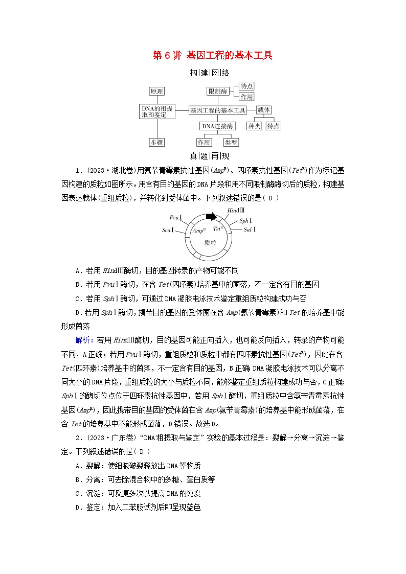 2025高考生物一轮复习素养提升练习选择性必修3第10单元生物技术与工程第6讲基因工程的基本工具