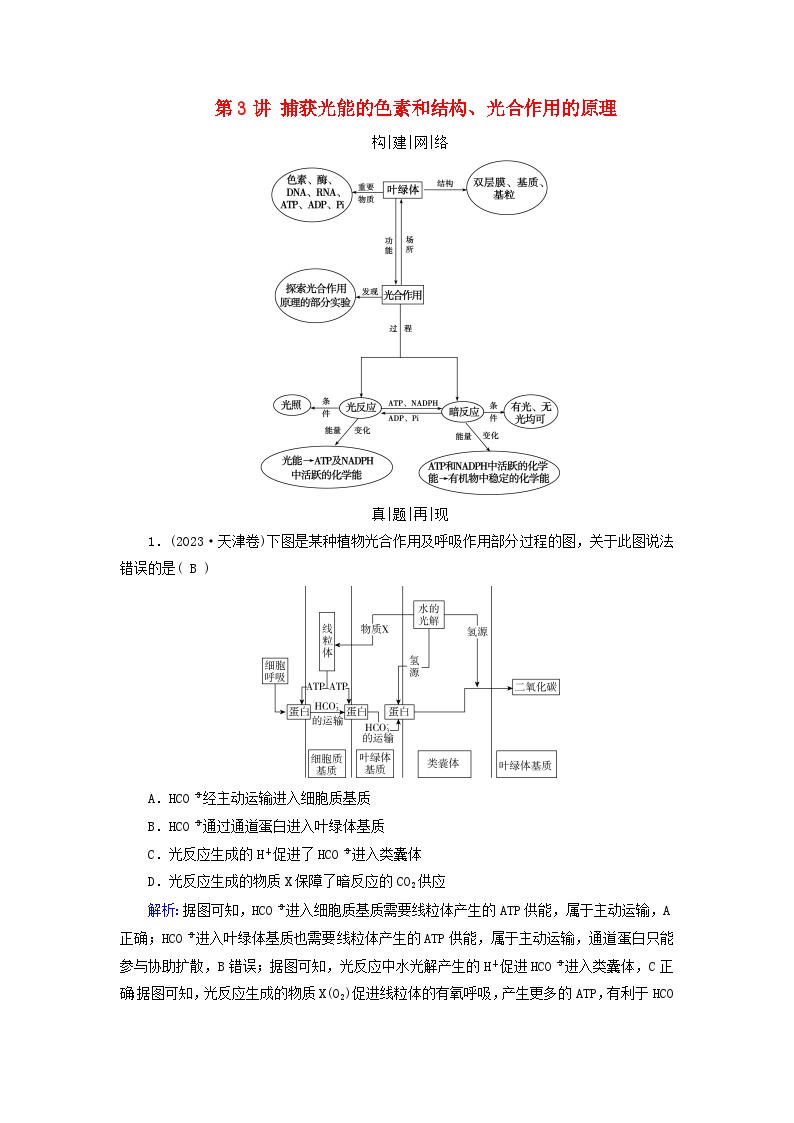 2025高考生物一轮复习素养提升练习必修1第3单元细胞的能量供应和利用第3讲捕获光能的色素和结构光合作用的原理