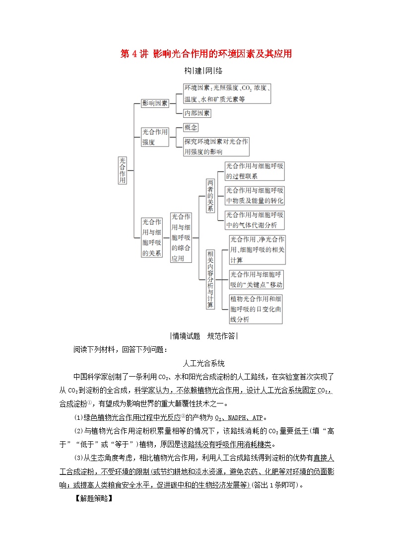 2025高考生物一轮复习素养提升练习必修1第3单元细胞的能量供应和利用第4讲影响光合作用的环境因素及其应用