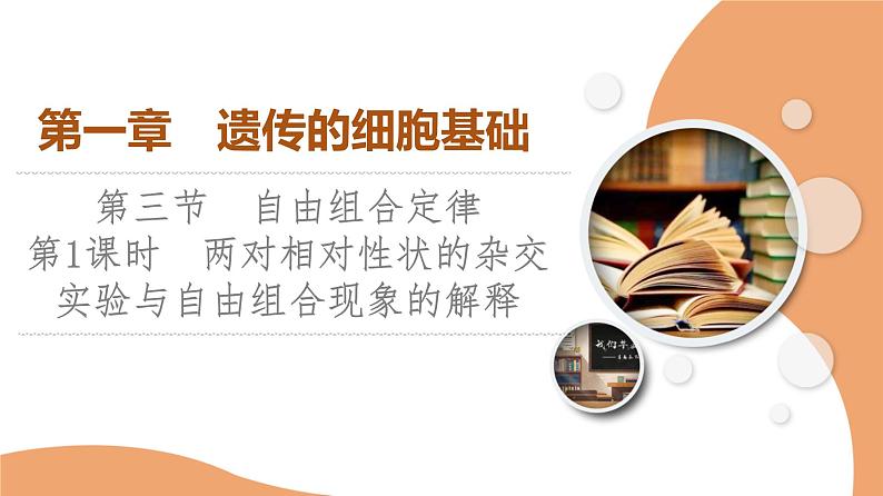 2023-2024学年 必修二 苏教版 两对相对性状的杂交实验与自由组合现象的解释 课件第1页