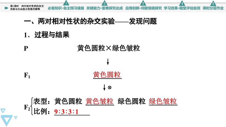 2023-2024学年 必修二 苏教版 两对相对性状的杂交实验与自由组合现象的解释 课件第4页