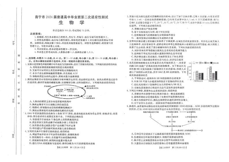 2024届广西届南宁市高三二模生物试卷第1页