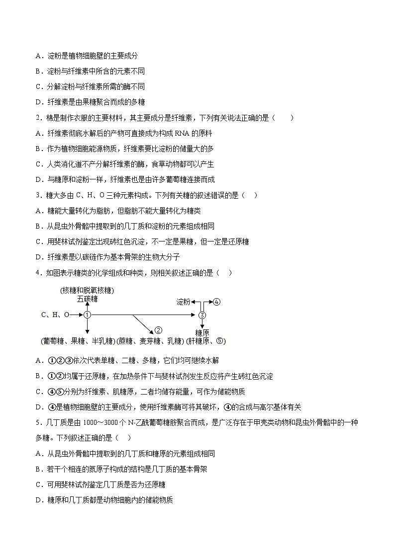 考点通关卷03 糖类和脂质(原卷版)第2页
