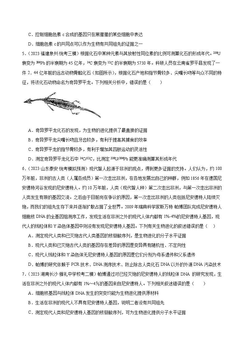 考点通关卷24+生物的进化-2024年高考生物一轮复习考点通关卷03