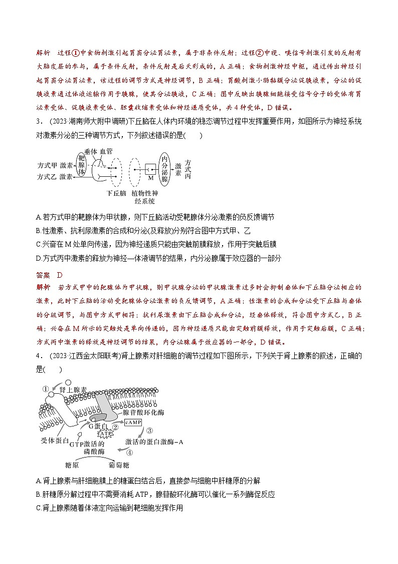 考点通关卷29 动物生命活动调节的综合(解析版)第3页