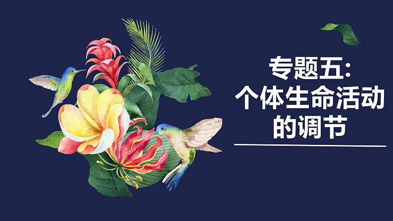 专题五 个体生命活动的调节-2024年高考生物二轮复习热点专题专项突破课件PPT03