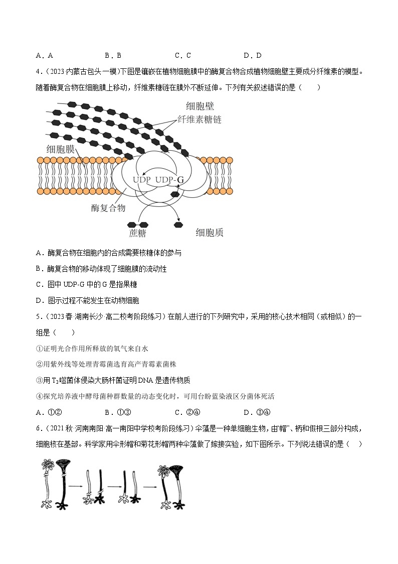 素养卷03 科学探究-【小题小卷】冲刺最新高考生物小题限时集训（新高考专用）02