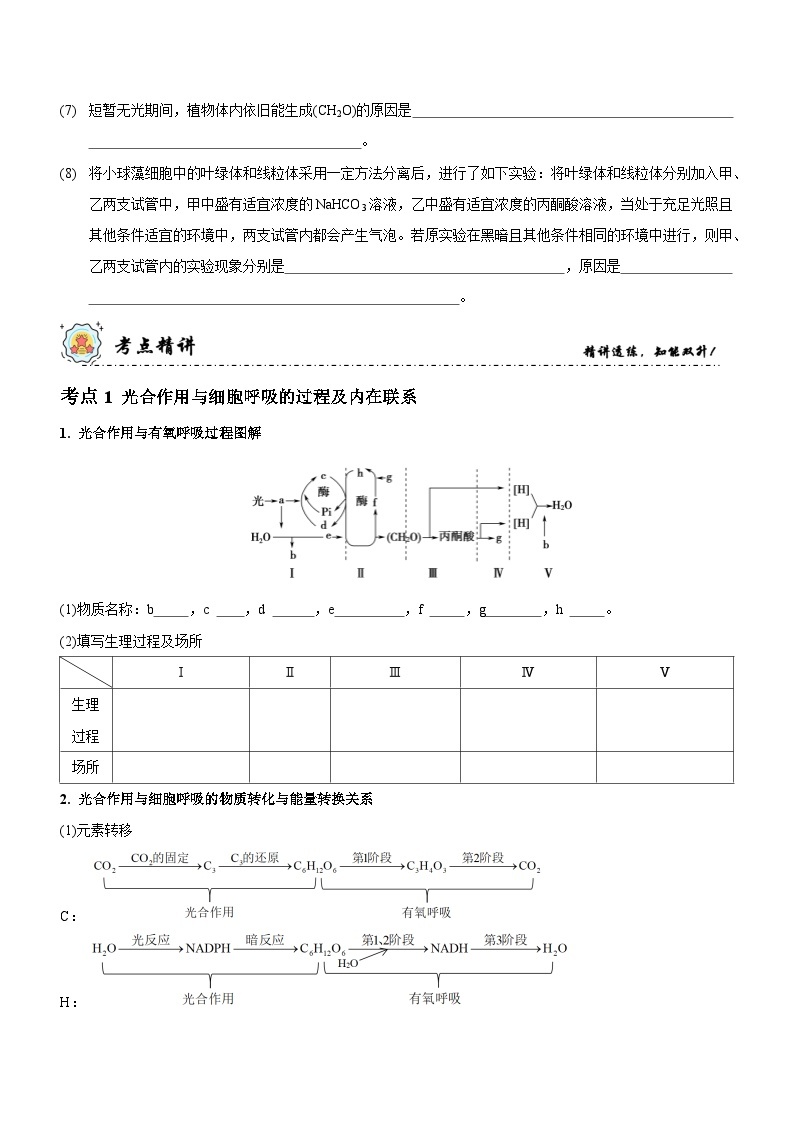 第4讲 光合作用和细胞呼吸（讲练）-新高考生物二轮复习讲练测（新教材专用）03