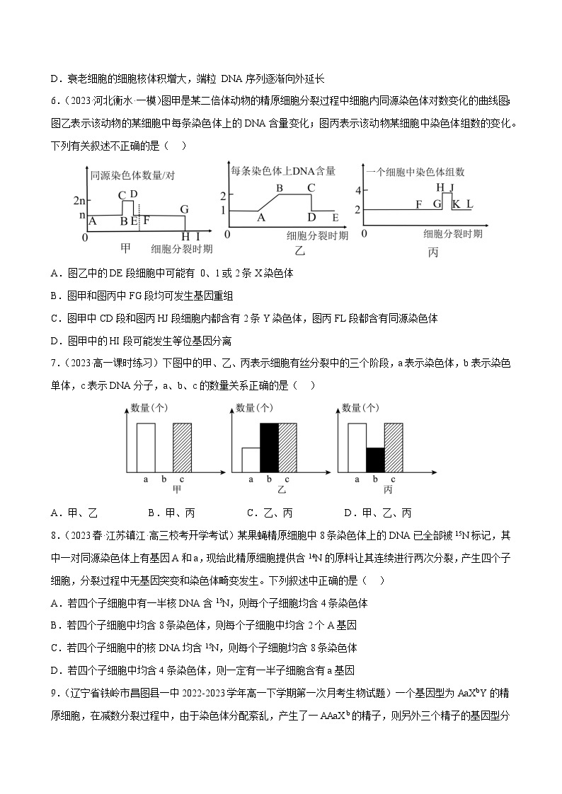 专题卷03 细胞的生命历程-【小题小卷】冲刺最新高考生物小题限时集训（新高考专用）03