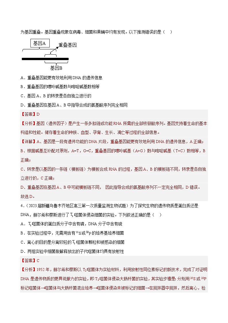 专题卷05 遗传的分子基础-【小题小卷】冲刺最新高考生物小题限时集训(新高考专用)03