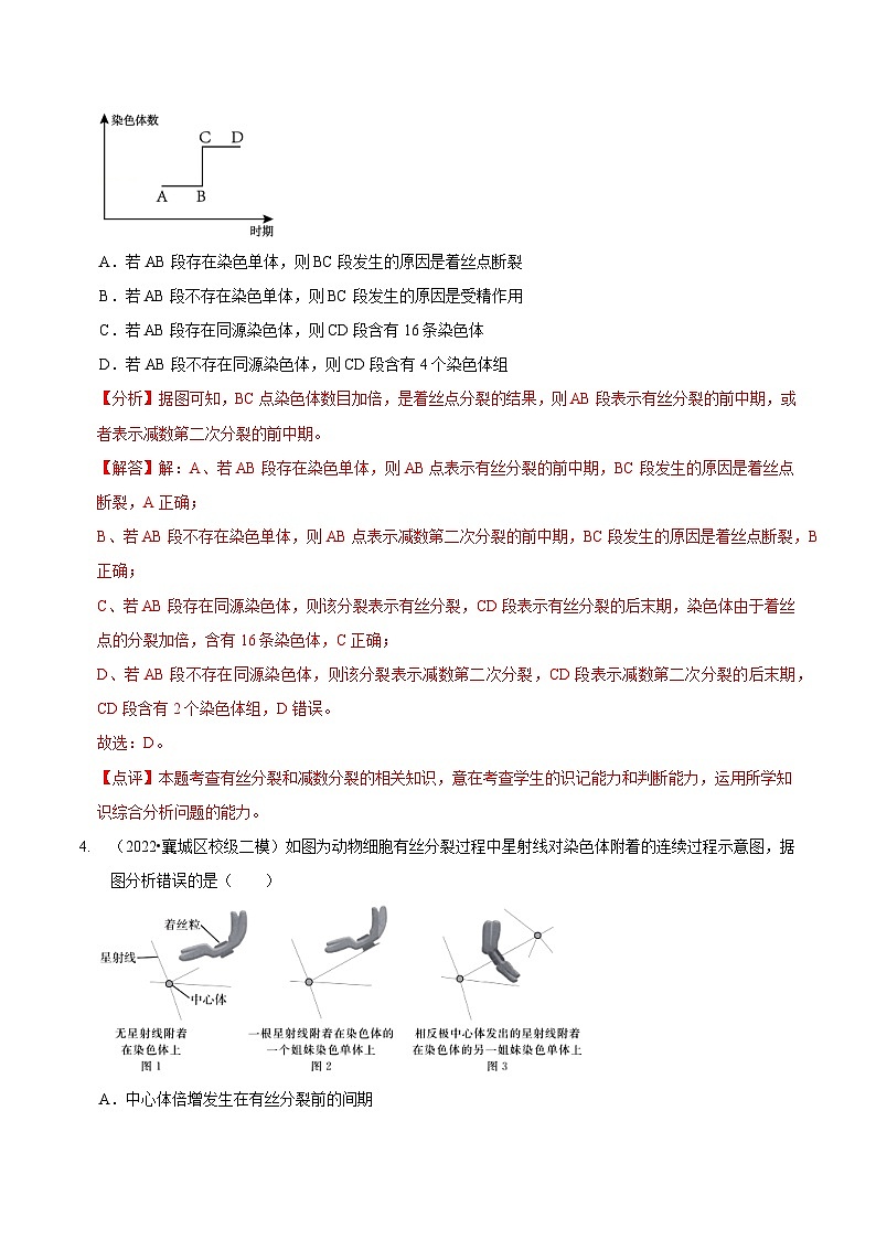 第5讲 细胞的分裂、分化、衰老和死亡(检测)-2023年高考生物二轮复习讲练测(新教材专用)(解析版)第3页