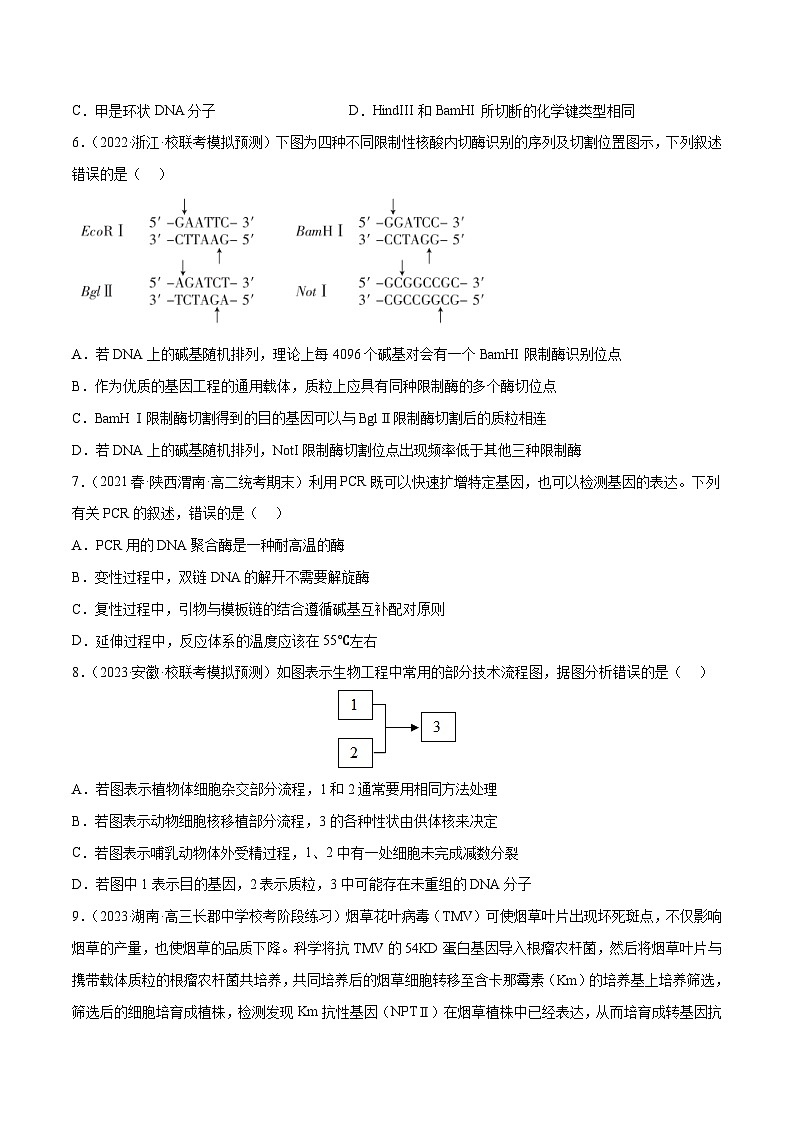 专题卷13 基因工程 -【小题小卷】冲刺2023年高考生物小题限时集训(新高考专用)(原卷版)第3页