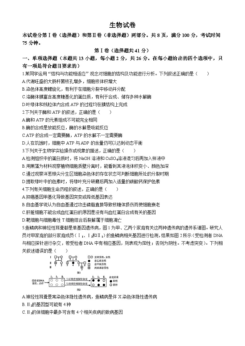 河北省邢台市部分高中2024届高三下学期二模生物试卷(Word版附答案)01