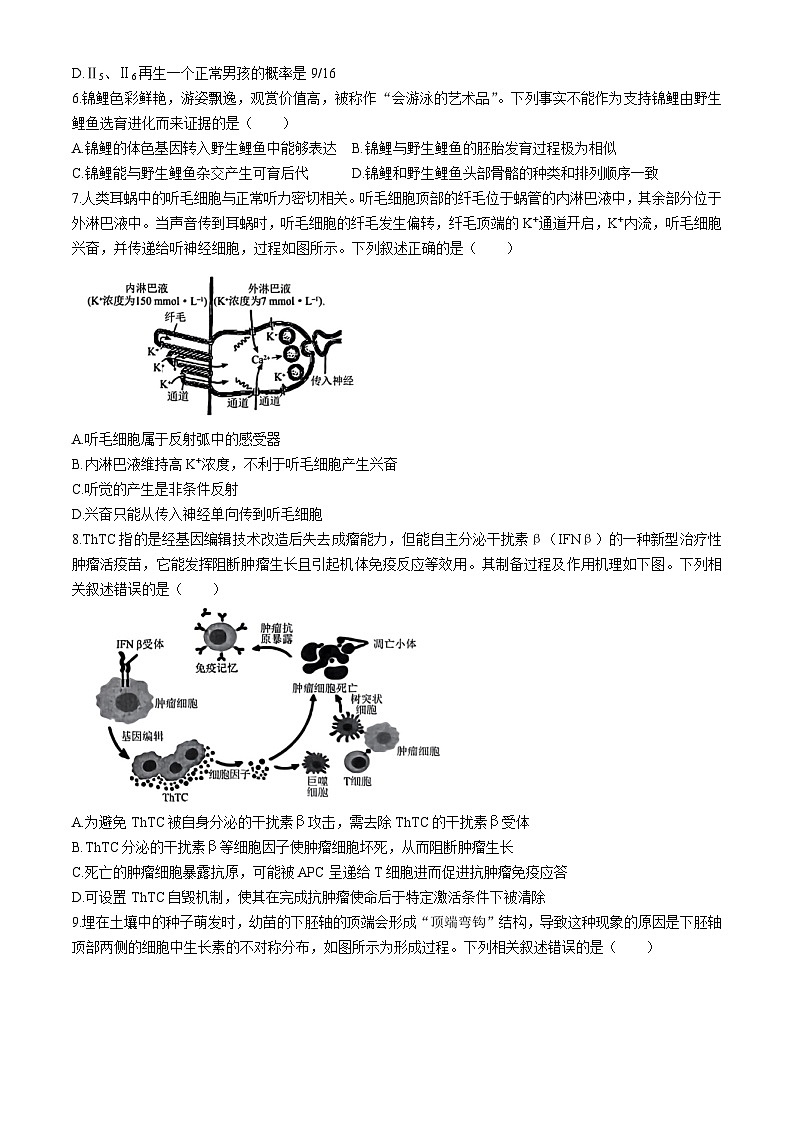 河北省邢台市部分高中2024届高三下学期二模生物试卷(Word版附答案)02