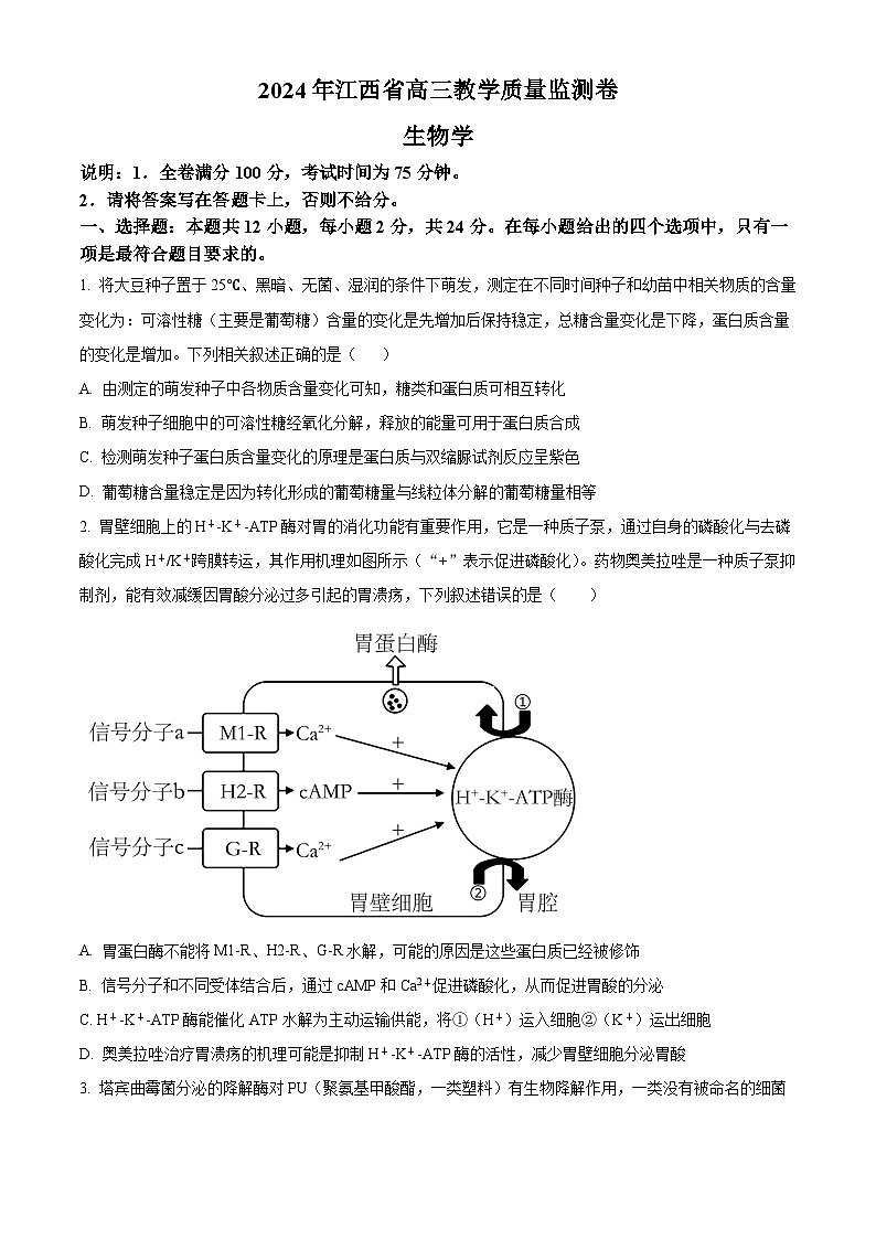 江西省部分学校2023-2024学年高三下学期4月教学质量检测生物试题(Word版附答案)第1页