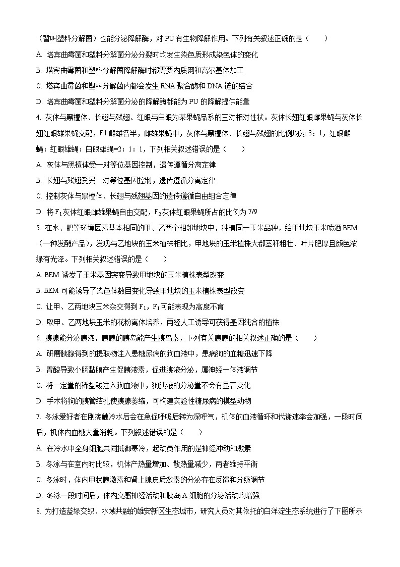 江西省部分学校2023-2024学年高三下学期4月教学质量检测生物试题(Word版附答案)第2页