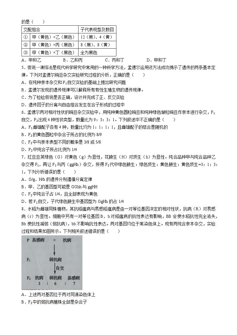 湖北省孝感市重点高中教科研协作体2023-2024学年高一下学期4月期中联考生物试题(Word版附解析)第2页