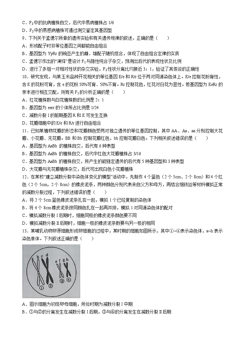 湖北省孝感市重点高中教科研协作体2023-2024学年高一下学期4月期中联考生物试题(Word版附解析)第3页
