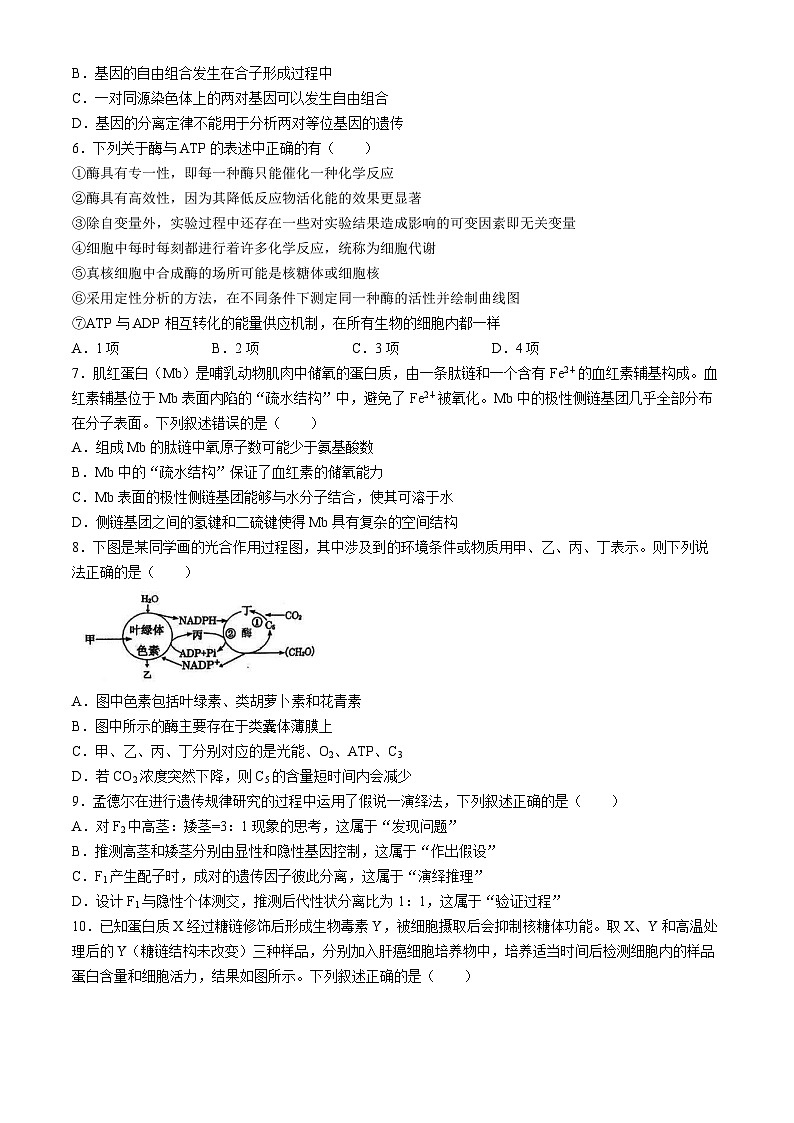湖北省云学名校新高考联盟2023-2024学年高一下学期4月期中联考生物试卷(Word版附答案)第2页