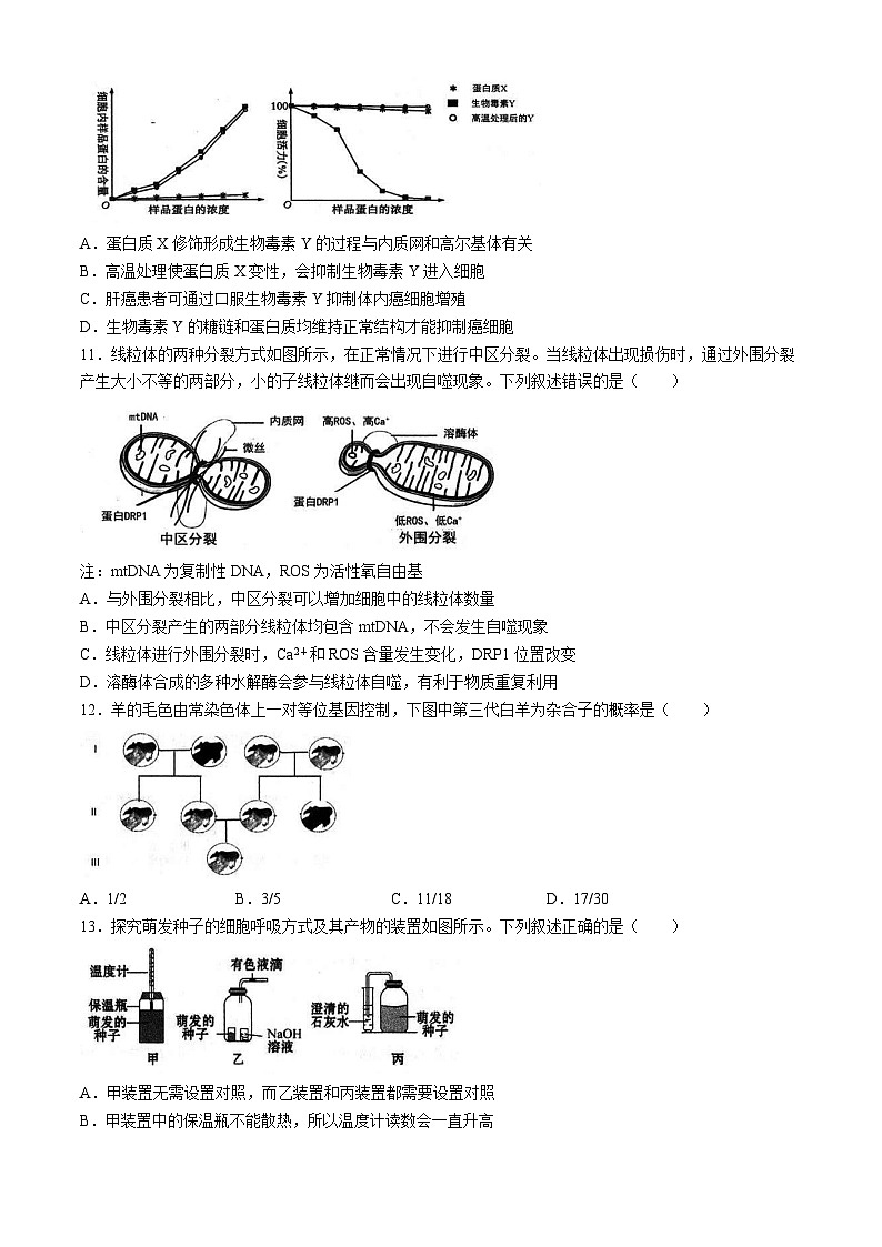 湖北省云学名校新高考联盟2023-2024学年高一下学期4月期中联考生物试卷(Word版附答案)第3页