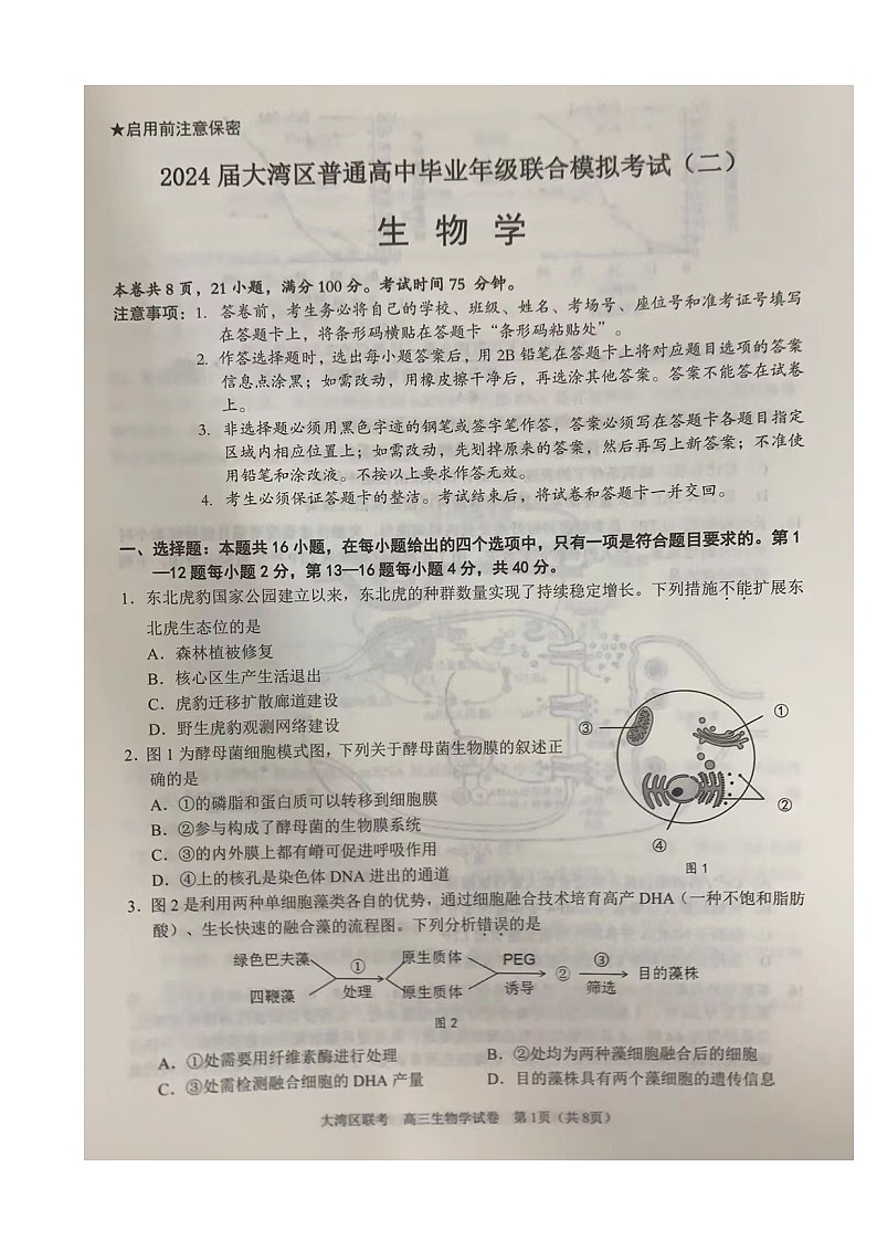 2024届广东省大湾区二模联考生物试卷第1页