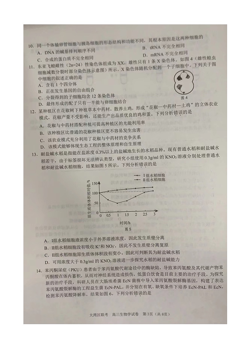 2024届广东省大湾区二模联考生物试卷第3页