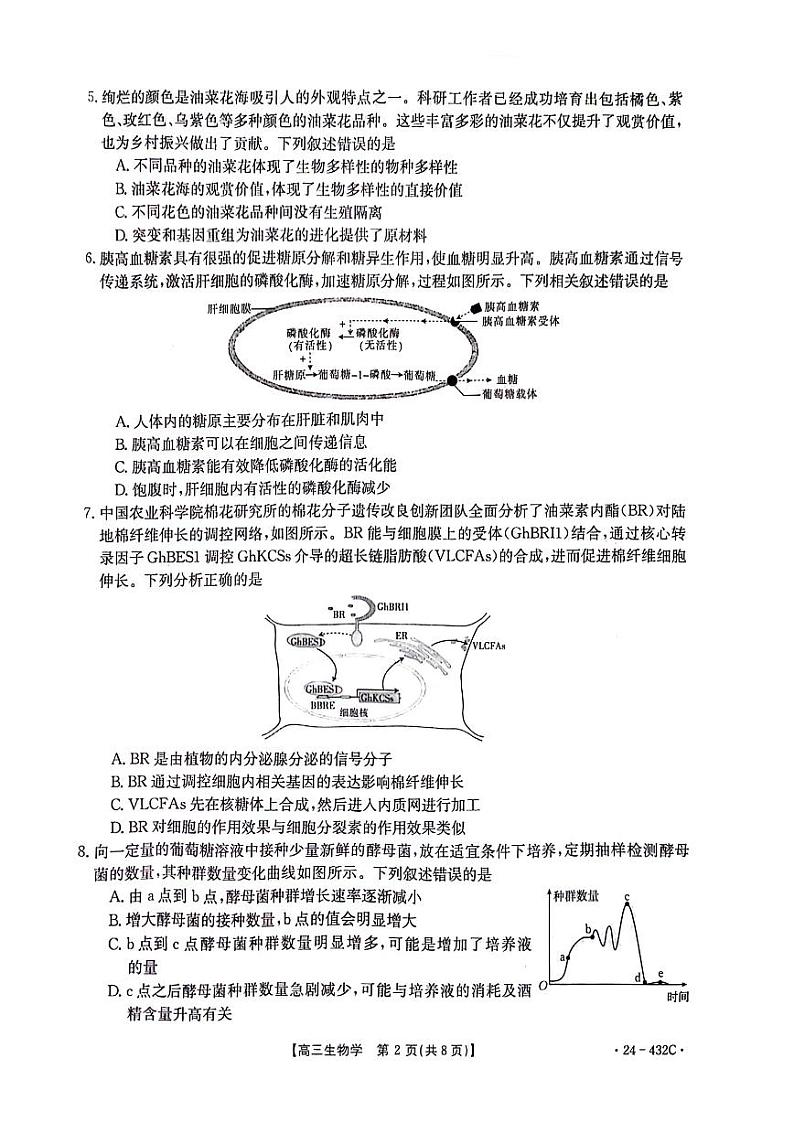 湖南省2024届高三下学期4月大联考暨衡阳三模试题生物含答案第2页