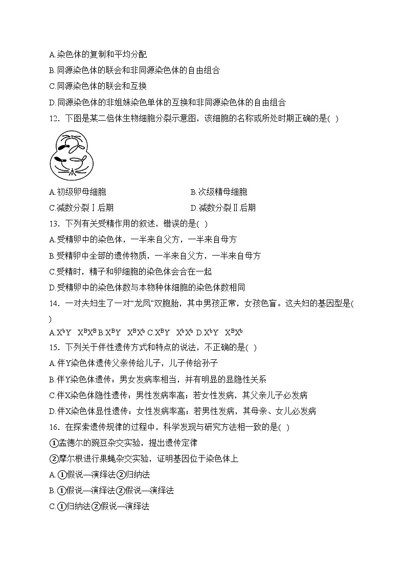河北武强中学2023-2024学年高一下学期期中考试生物试卷(含答案)第3页