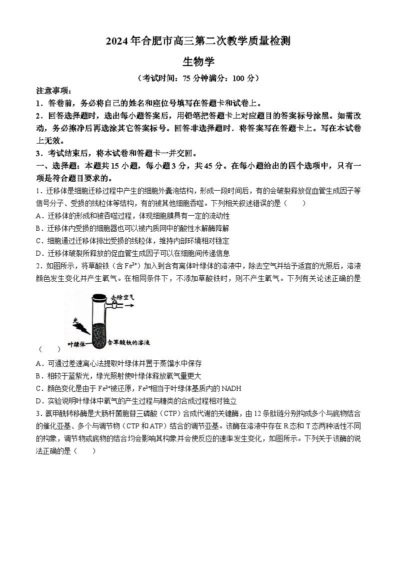2024合肥高三下学期二模试题生物含答案01