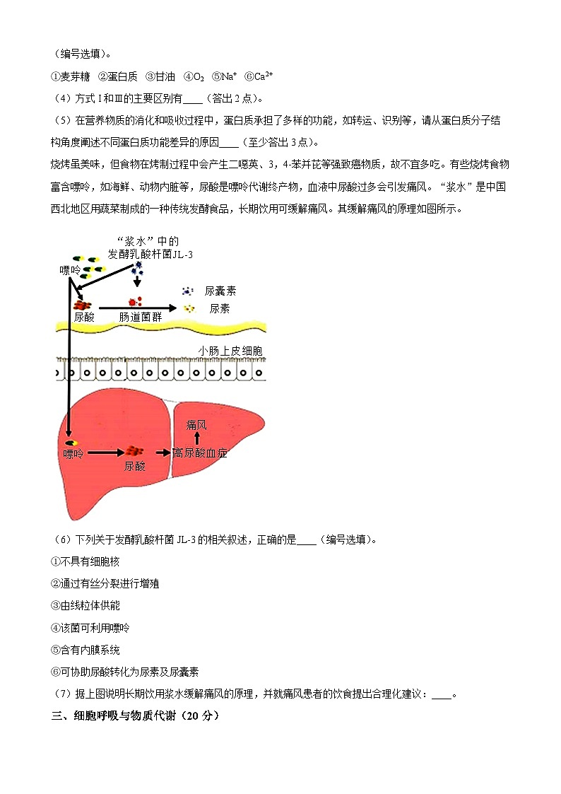 上海市浦东新区华东师范大学第二附属中学2023-2024学年高一下学期4月期中生物试题(原卷版)第3页