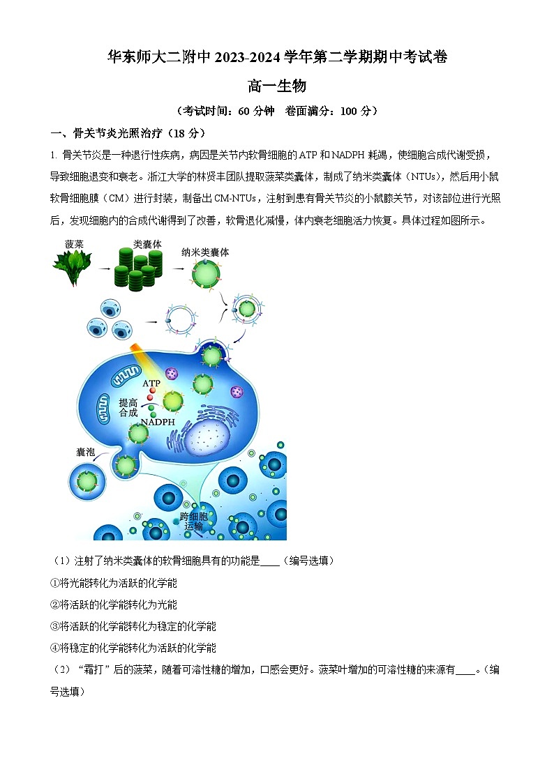 上海市浦东新区华东师范大学第二附属中学2023-2024学年高一下学期4月期中生物试题(解析版)第1页