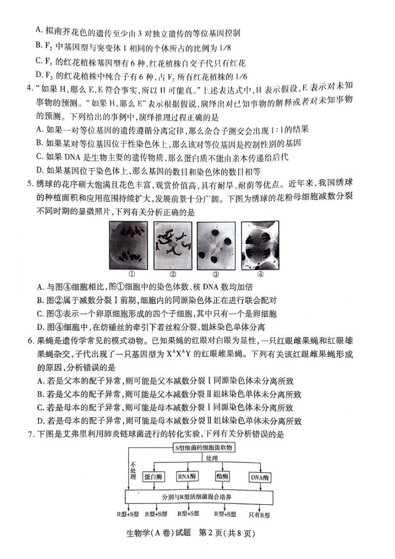 安徽卓越县中联盟皖豫名校联盟2023-2024学年高一下学期4月期中考试生物试卷（PDF版附解析）02