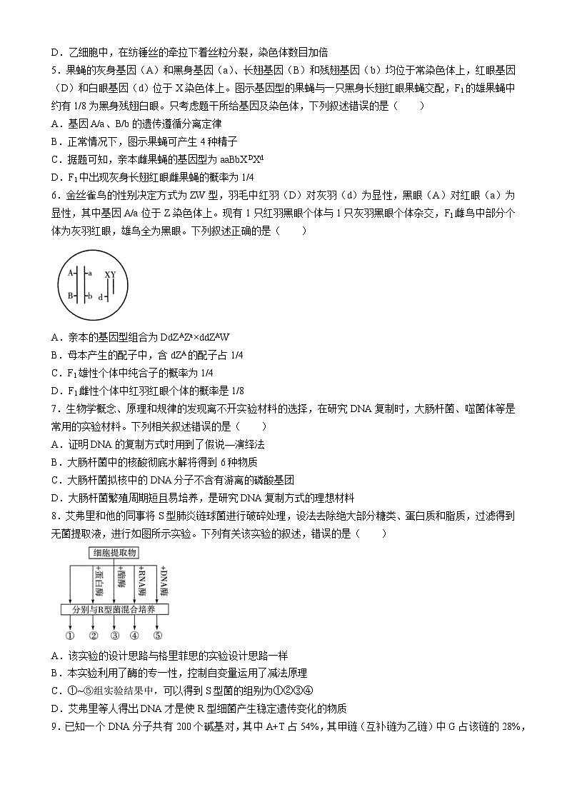 河南省多校2023-2024学年高一下学期4月期中联考生物试卷(Word版附解析)02