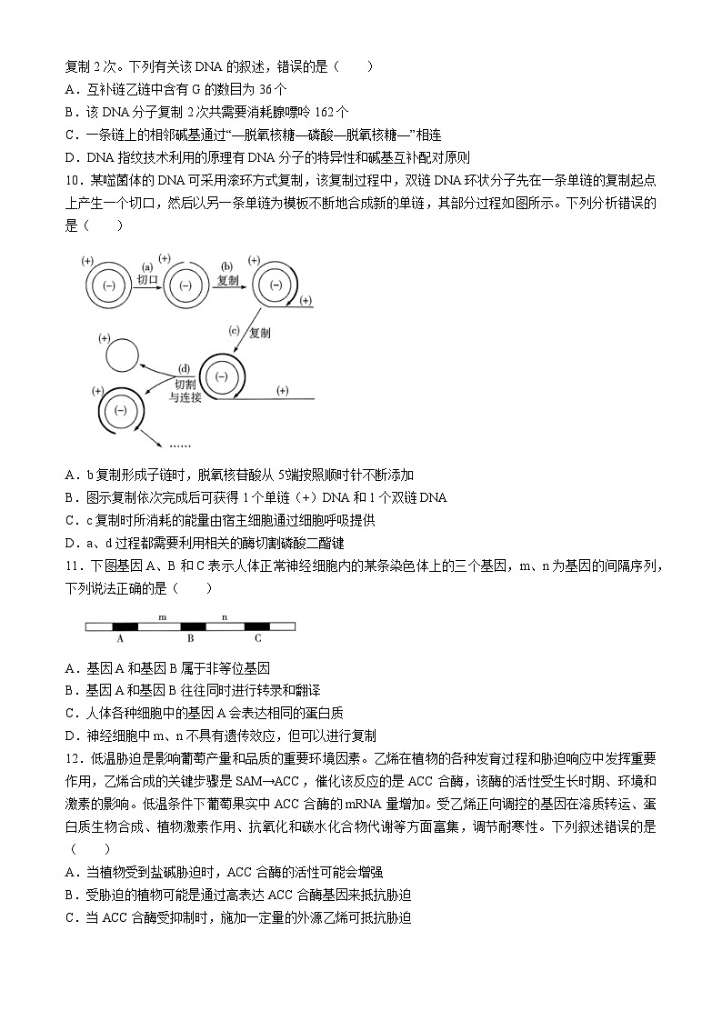 河南省多校2023-2024学年高一下学期4月期中联考生物试卷(Word版附解析)03