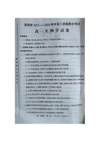 河南省洛阳市2023-2024学年高一下学期4月期中考试生物试卷（PDF版附答案）